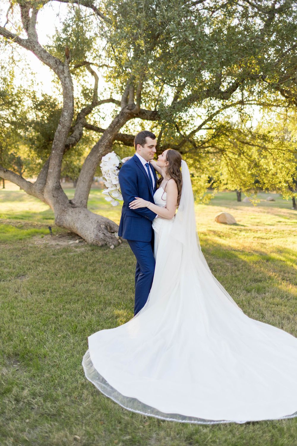Bride and groom share a romantic moment under a sprawling oak tree, her white gown and veil flowing gracefully.