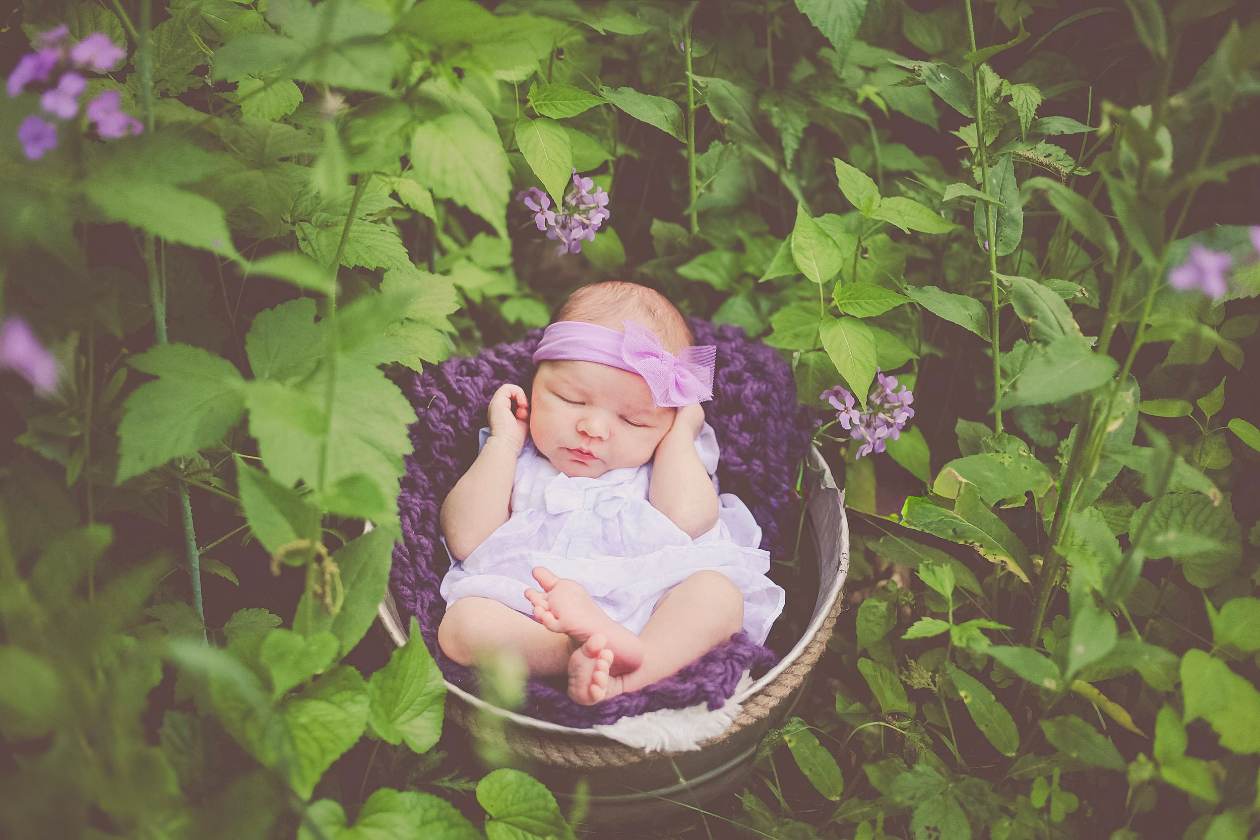 Sleeping newborn baby in white dress and purple headband resting in a basket surrounded by lush green plants.