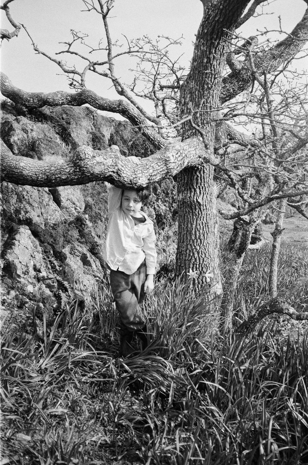 Child in white shirt stands beneath twisted bare tree branches on grassy hillside, black and white photo.
