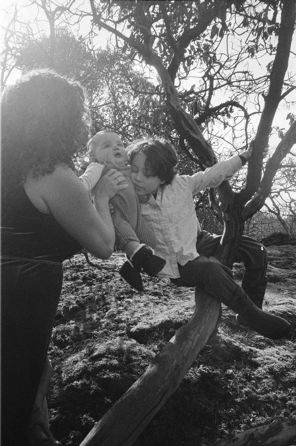Black and white photo of mother holding baby while child reaches out beside a tree.
