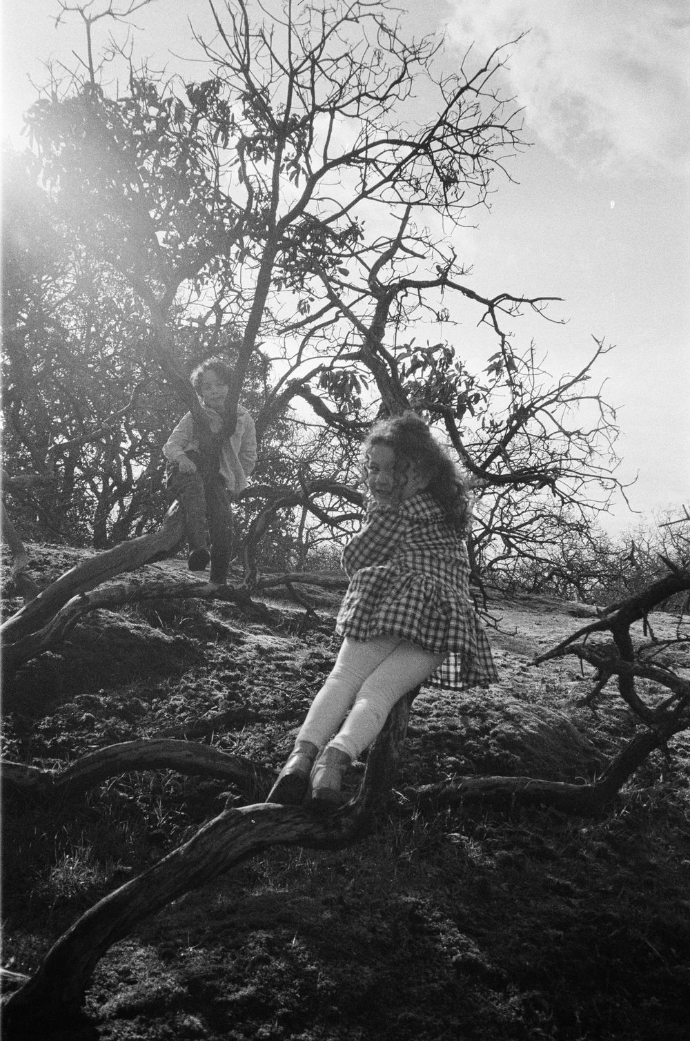 Two children climb on twisted bare tree branches backlit by bright sky, black and white photo.