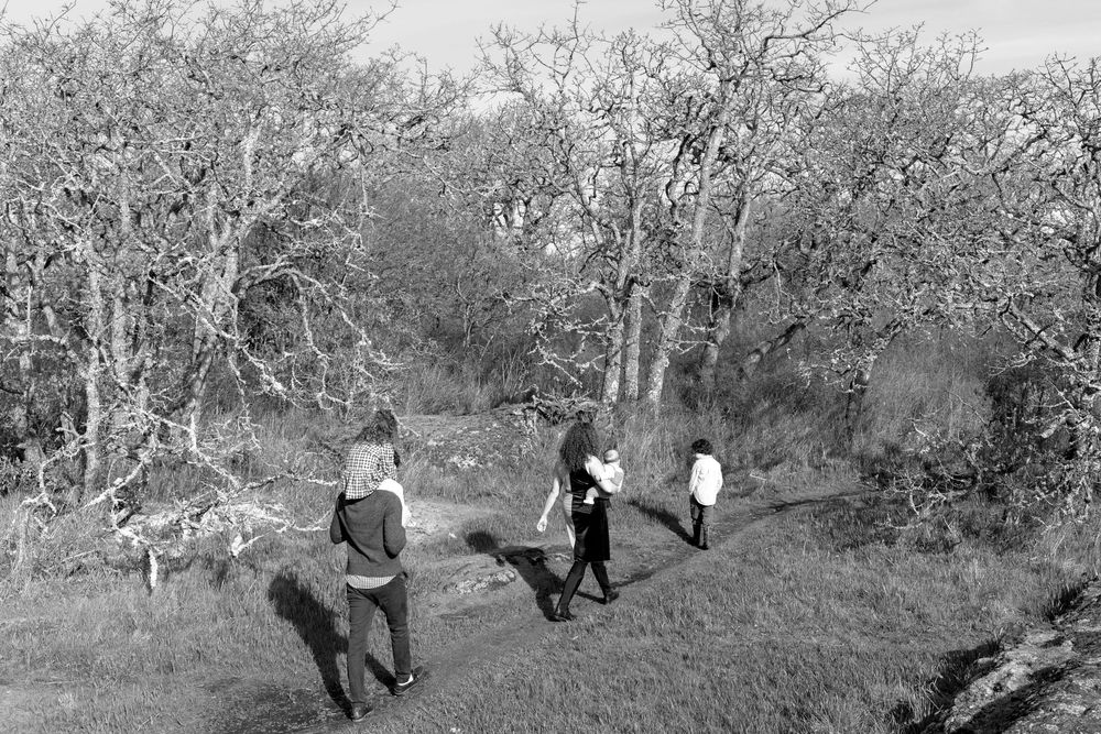Black and white photo of three people walking through a wooded area with bare winter trees.