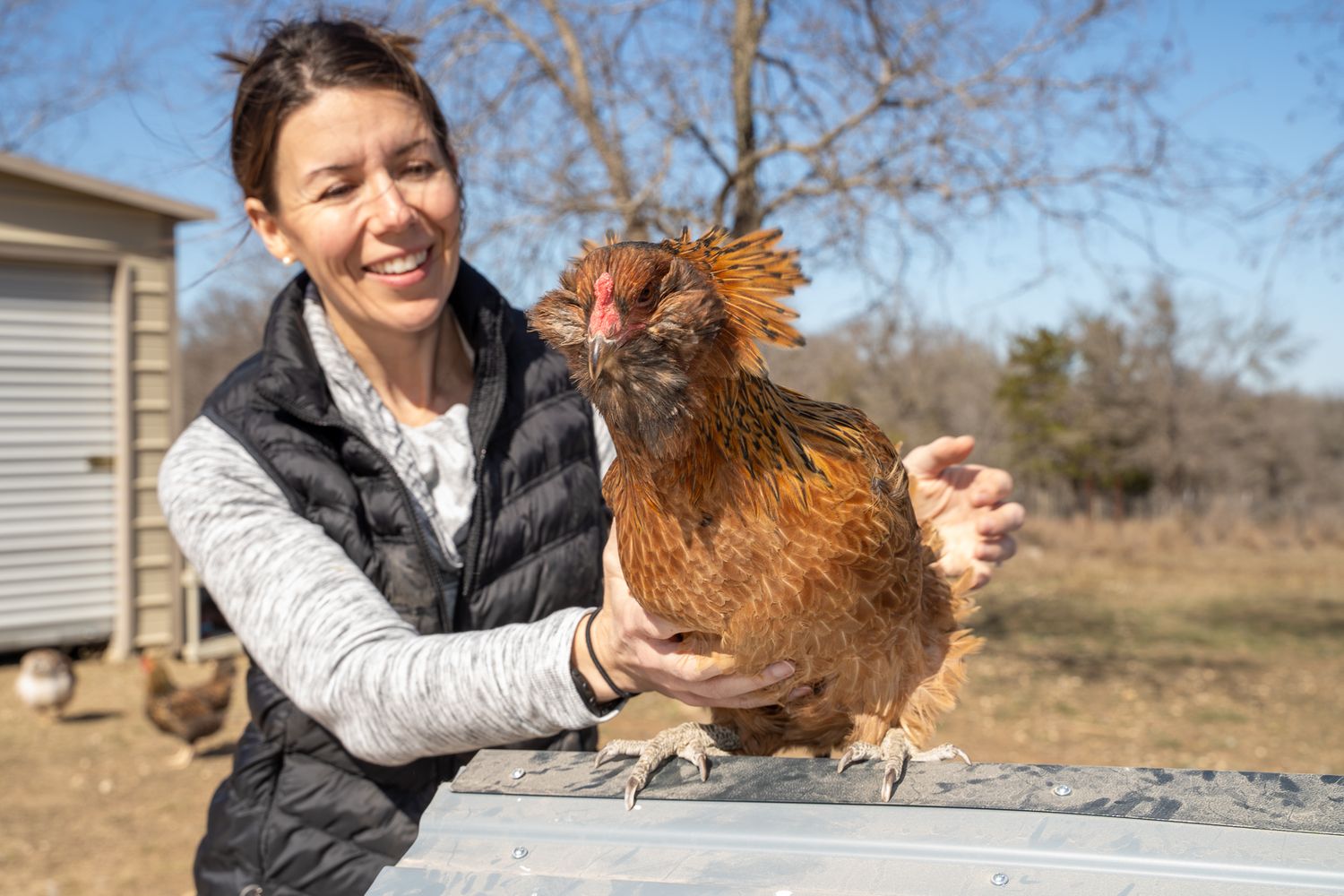 A smiling woman holds a brown hen outdoors on a farm on a sunny day.