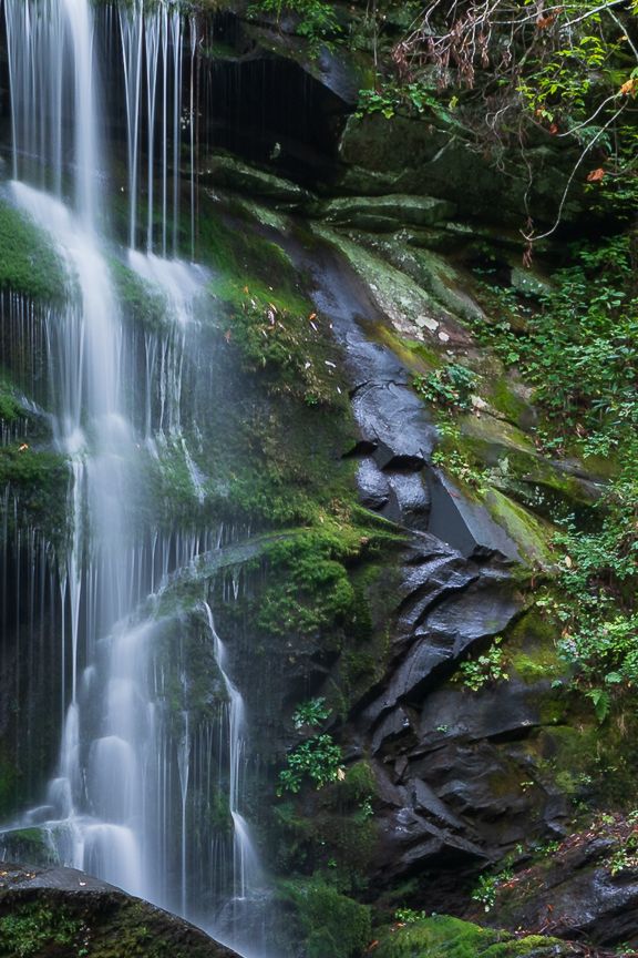 Silky waterfall cascading over moss-covered rocks surrounded by lush green vegetation in a serene forest setting.