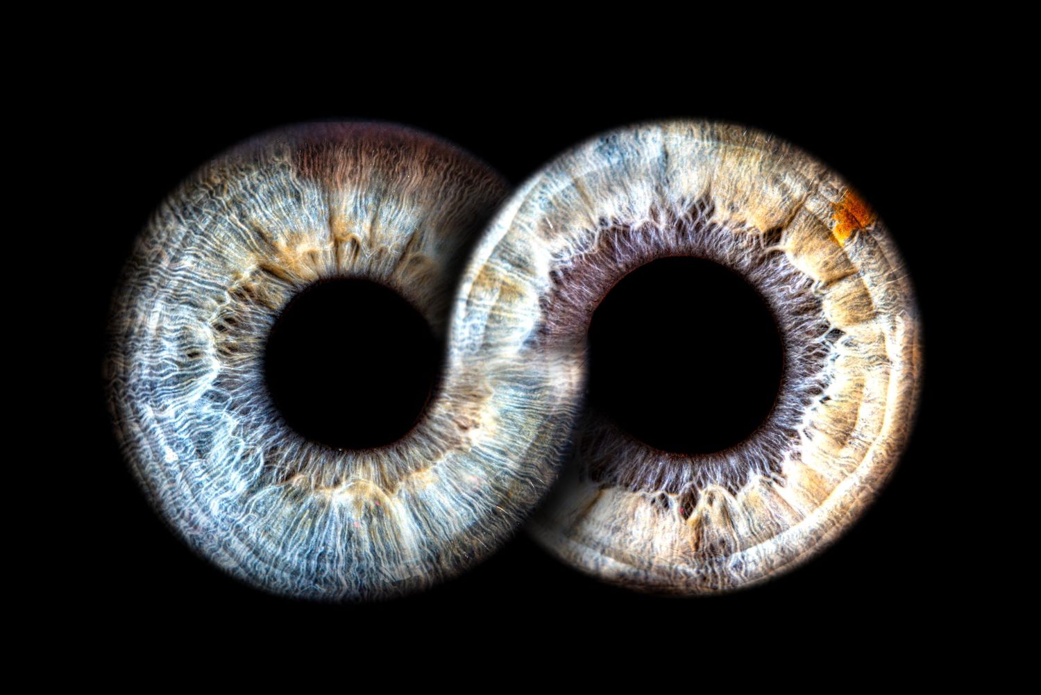 Unique iris art with infinity design. Made with two hazel iris photographs.