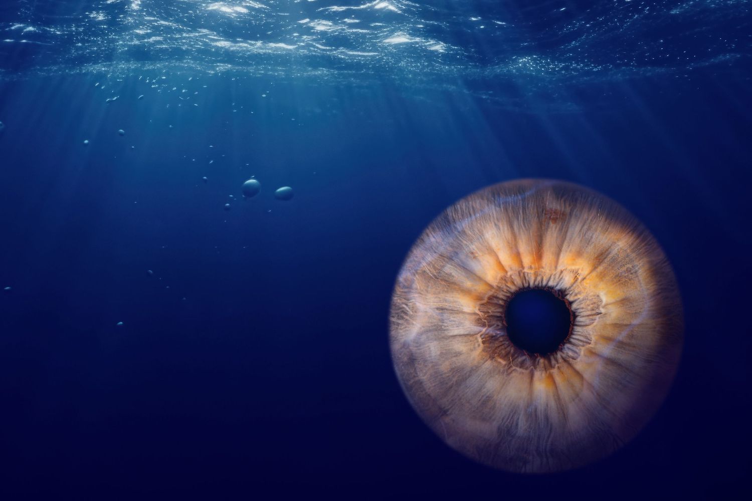 Unique iris art made from a photograph of a human hazel colored eye. "Ocean Eyes"