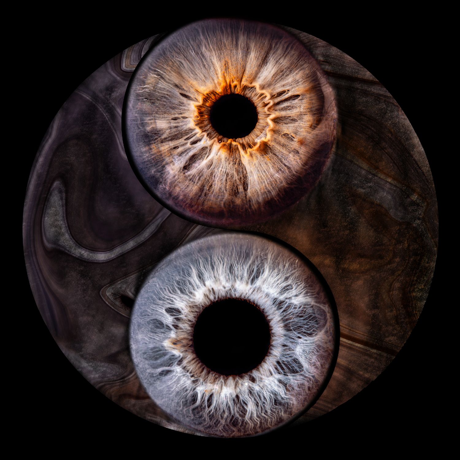 Detailed iris portrait art featuring two unique irises made into yin and yang design.