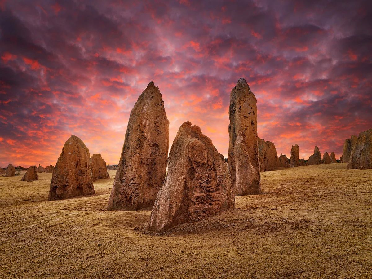 Dramatic limestone pinnacles rise from golden desert sand beneath a vivid red and purple sunset sky in Western Australia.