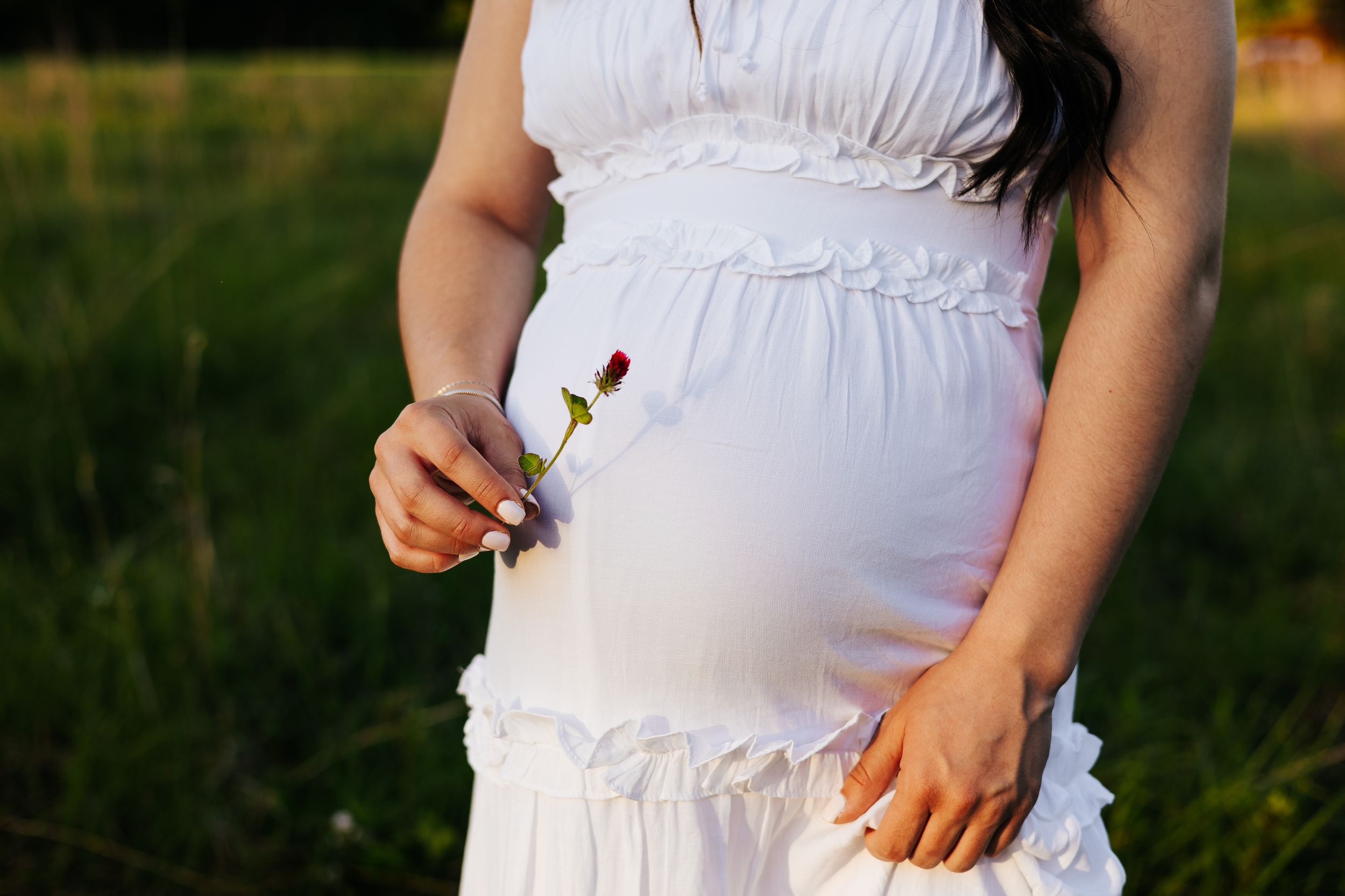Pregnant woman in white dress holding a red rose bud in a green field during golden hour.