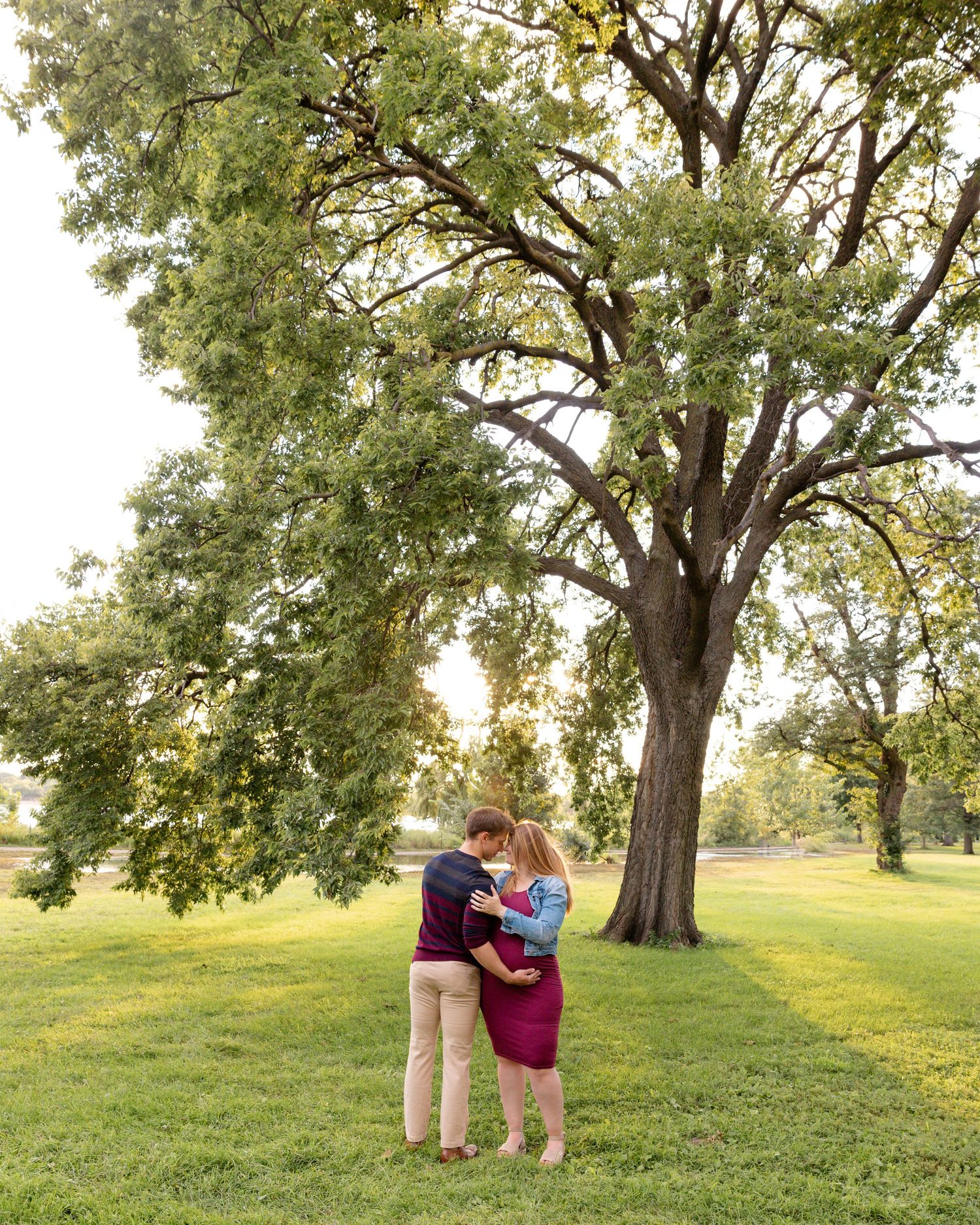 A romantic couple embraces under a large green tree in a sunny park setting.