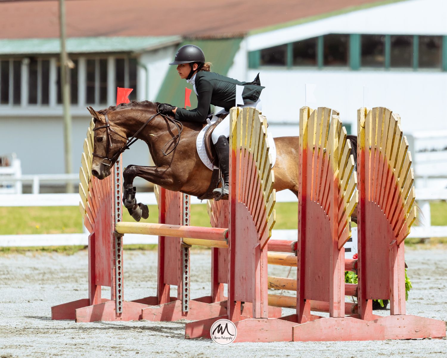 Equestrian rider on chestnut horse jumping over decorative red and gold wing fence at outdoor show jumping competition.