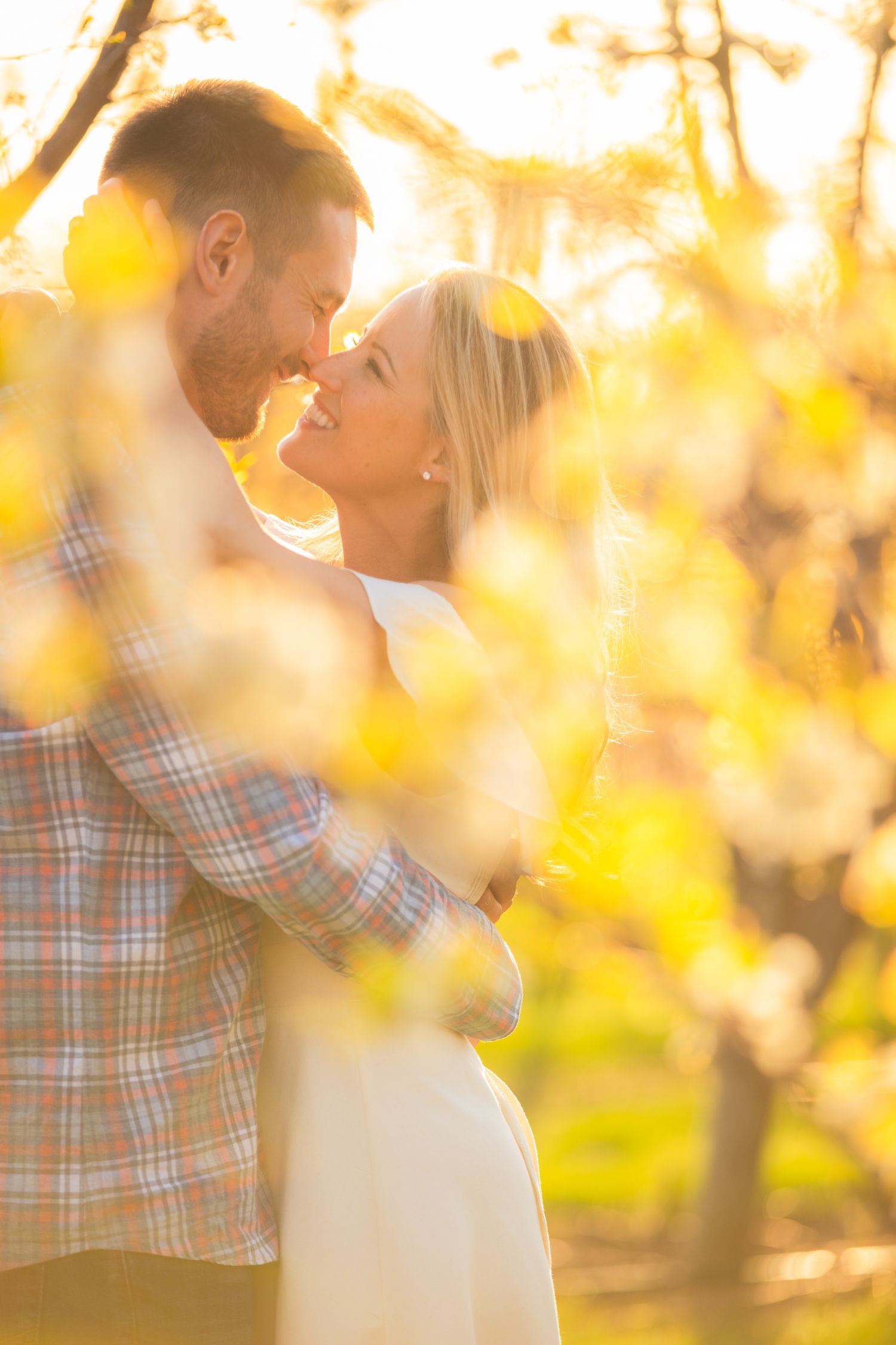 Couple walking hand-in-hand through a sunlit autumn forest with vibrant orange and red foliage.