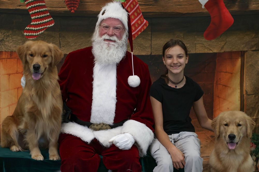 Santa Claus poses with a young girl and two golden retrievers in front of a festive fireplace backdrop.