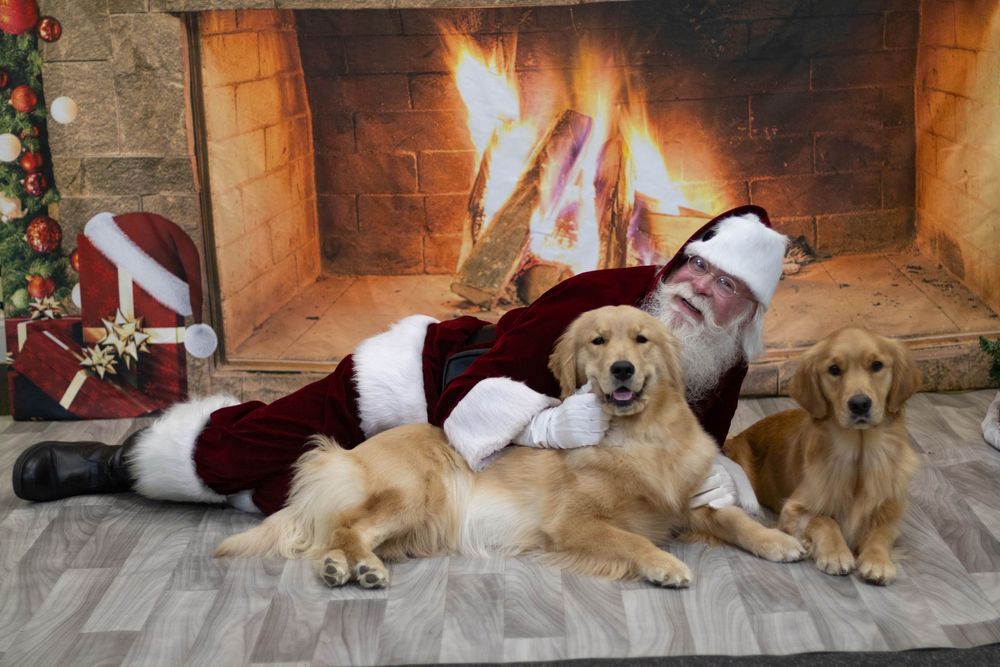 Santa Claus relaxes on floor with two golden retrievers in front of a glowing fireplace.