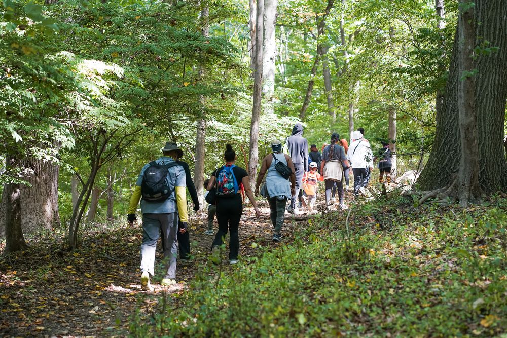 Group of hikers walking along a forest trail surrounded by lush green trees on a sunny day.