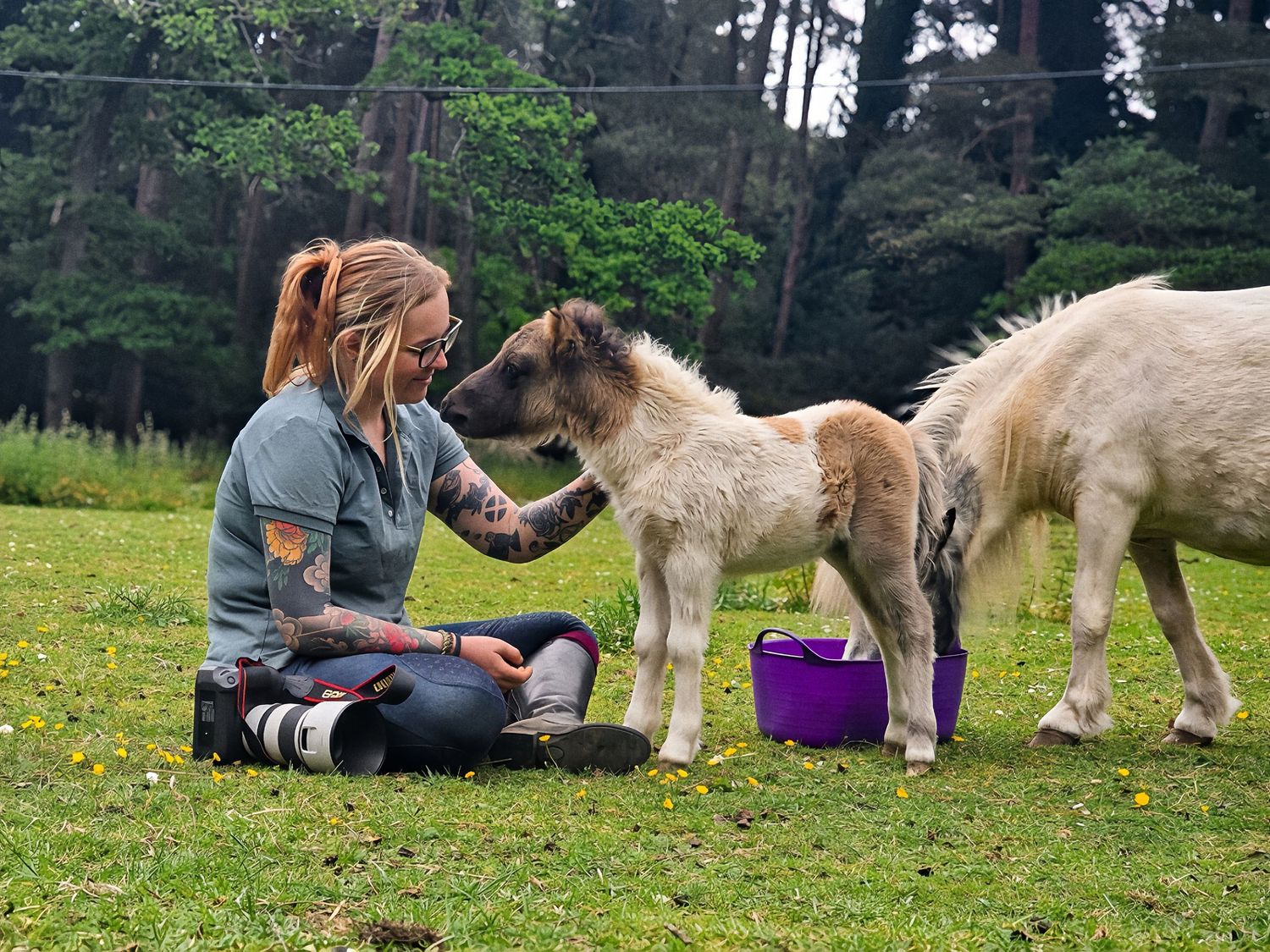 horse photography