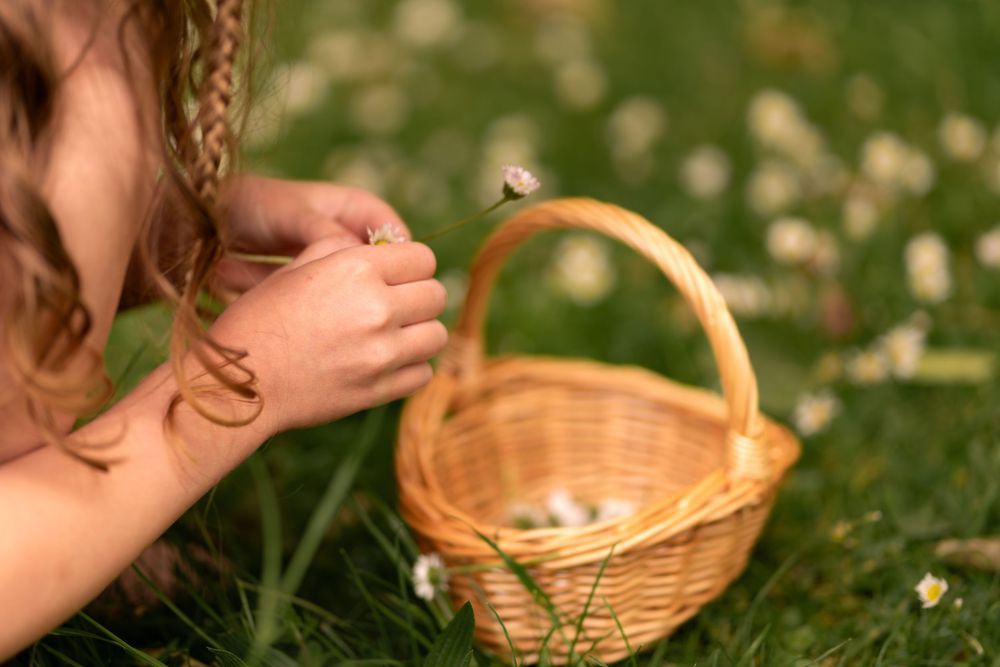Young girl sitting in grass field holding a daisy flower during childhood photoshoot in Lincolnshire.