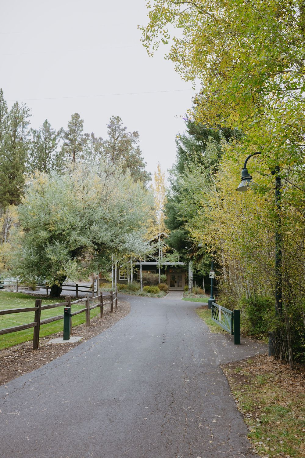 The road to the I Do