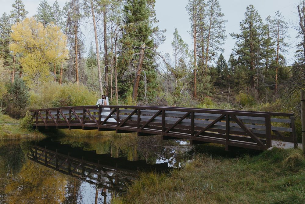 The bridge