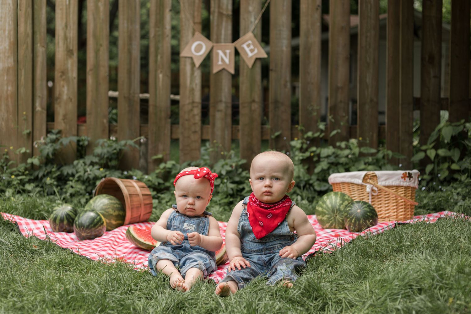 Outdoor picnic scene with red gingham blanket and wooden fence backdrop.