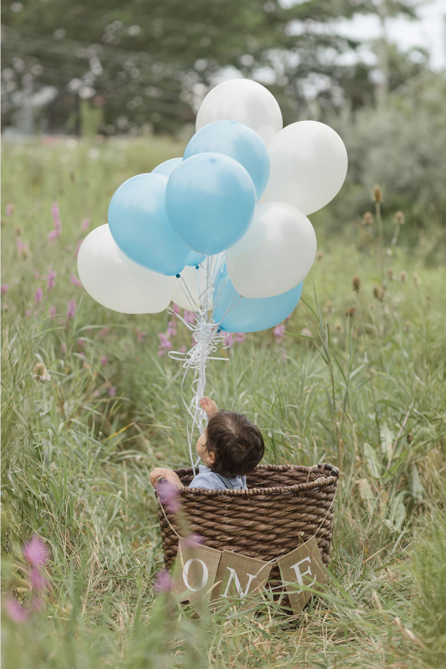 Baby sitting in wicker basket with blue and white balloons in grassy meadow for first birthday photo shoot.