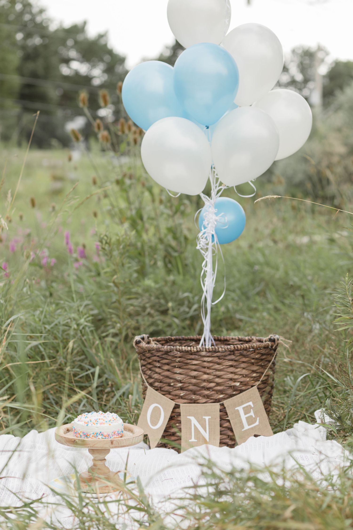 First birthday party setup outdoors with white and blue balloons tied to wicker basket on blanket with 'ONE' banner.