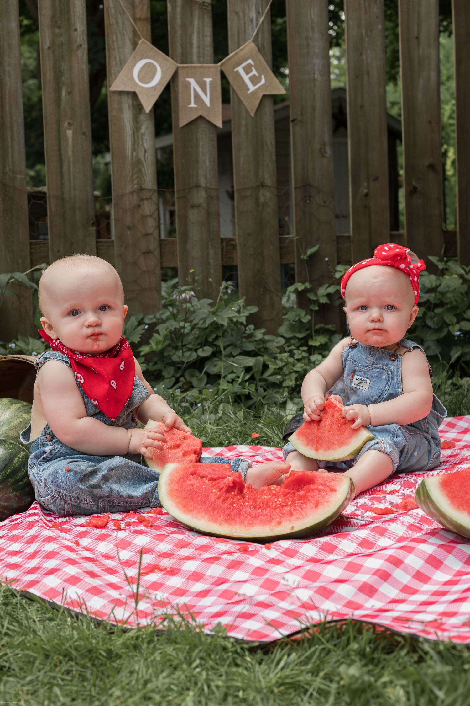 Outdoor picnic with watermelon slices on red checkered blanket under 'ONE' banner.