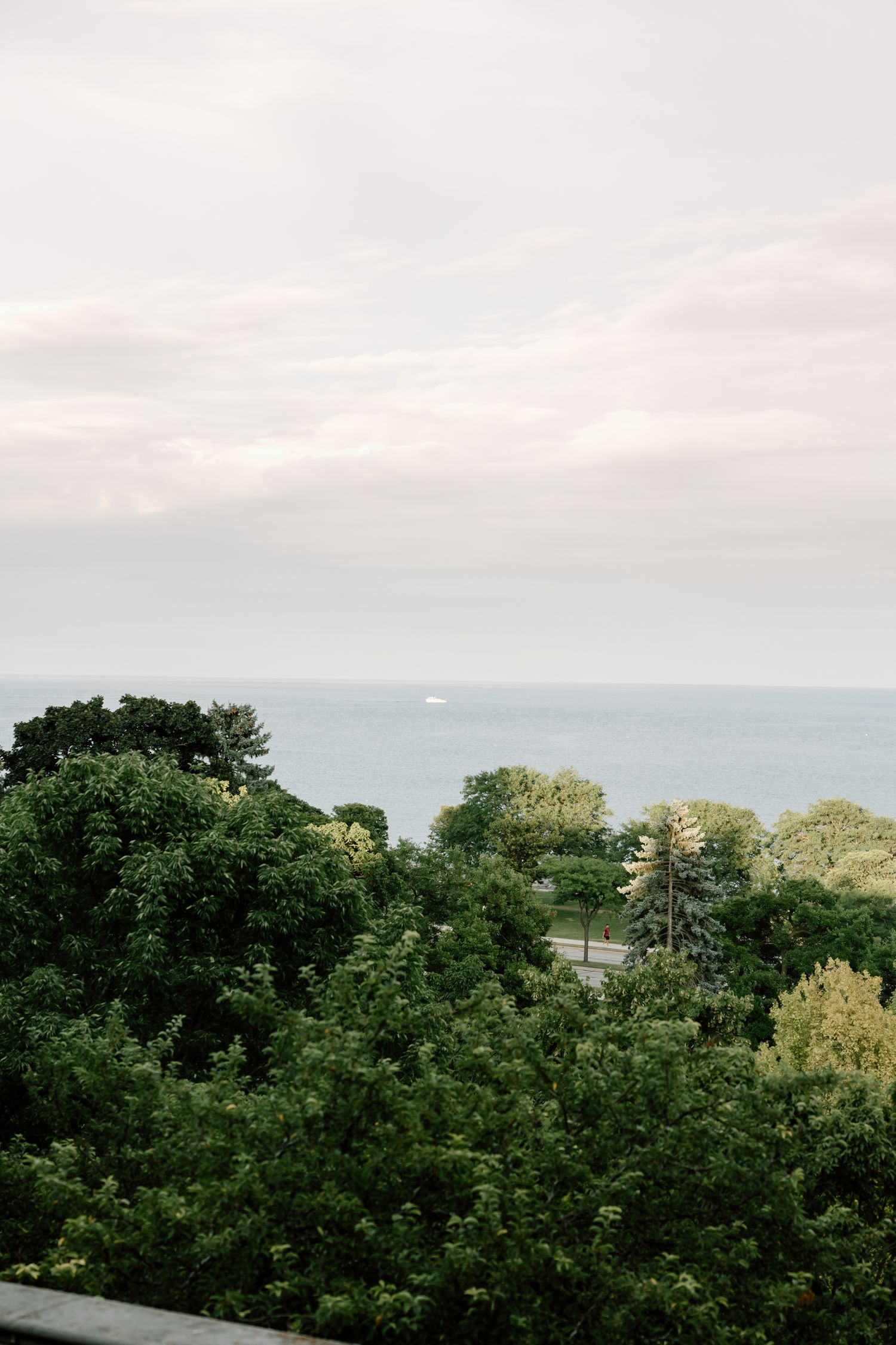 Lush green trees frame a serene lakeside view with a calm horizon under a soft cloudy sky.