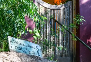 A rustic wooden gate with a sign reading visitors must ring bell surrounded by tropical plants.