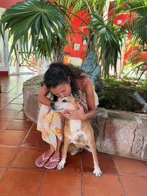 Young girl hugging a tan dog on a tiled porch surrounded by tropical plants.