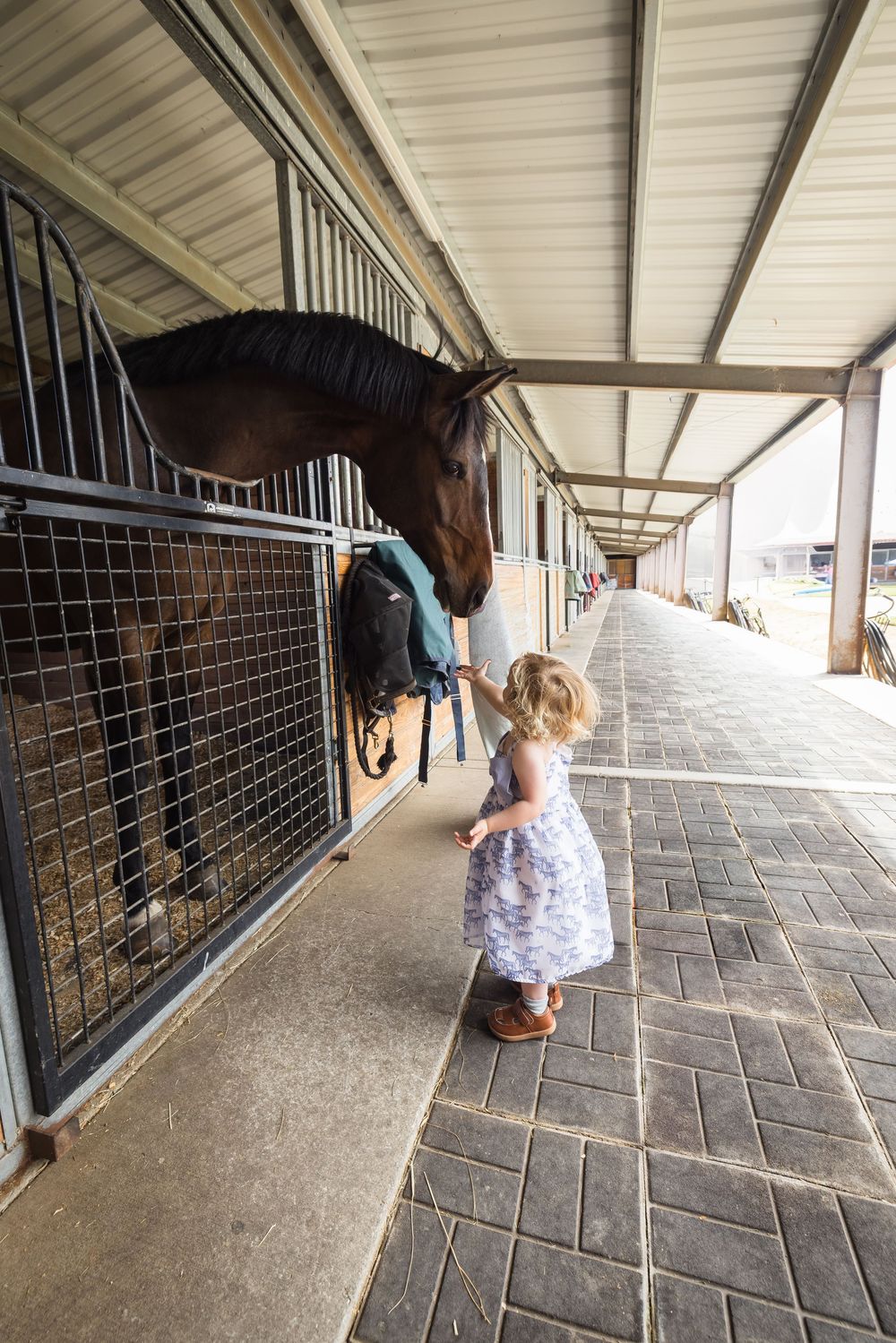 A young toddler girl in a floral dress reaches up to pet a dark horse in a stable corridor.