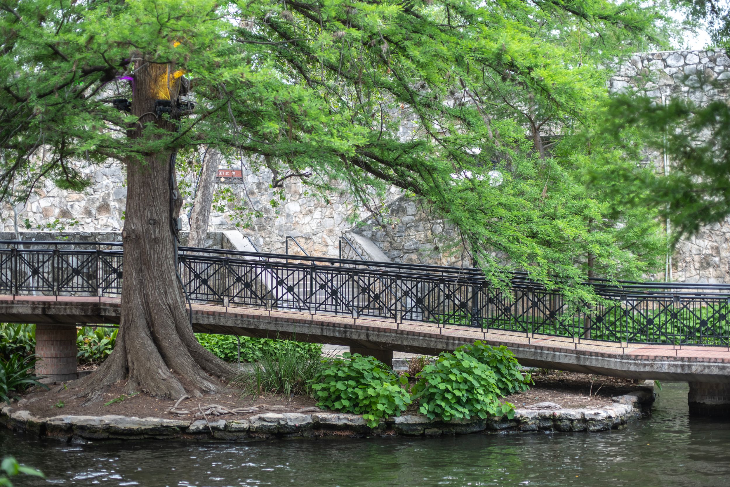 A scenic pedestrian bridge with black iron railings spans a calm river beside a large green tree in San Antonio.