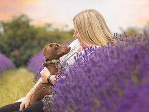 Dog photo shoot Oxford
Professional dog photographer Oxford.
Dog photographer near me
Reactive dog photographer
Dog photo shoot price