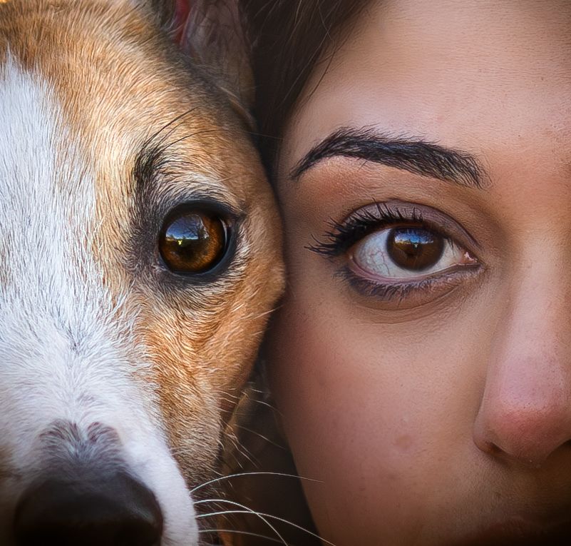 Dog photo shoot Oxford
Professional dog photographer Oxford.
Dog photographer near me
Reactive dog photographer
Dog photo shoot price