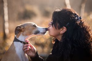 Dog photo shoot Oxford
Professional dog photographer Oxfordshire.
Dog photographer near me
Reactive dog photographer
Dog photo shoot price