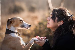 Dog photo shoot Oxford
Professional dog photographer Oxfordshire.
Dog photographer near me
Reactive dog photographer
Dog photo shoot price