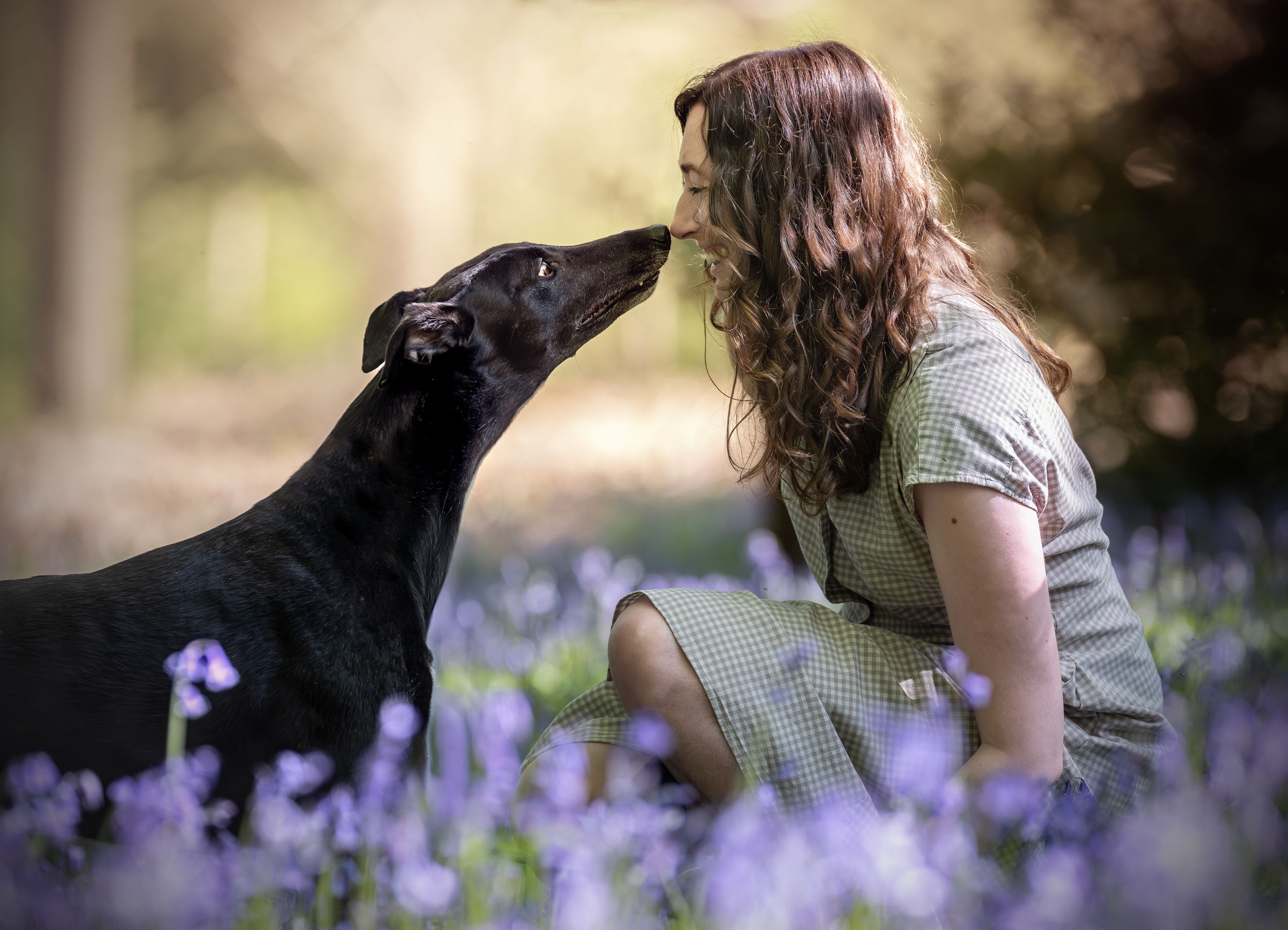 Dog photo shoot Oxford
Professional dog photographer Oxfordshire.
Dog photographer near me
Reactive dog photographer
Dog photo shoot price