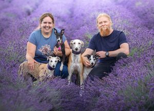 Dog photo shoot Oxford
Professional dog photographer Oxfordshire.
Dog photographer near me
Reactive dog photographer
Dog photo shoot price
