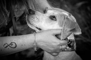 Dog photoshoot Oxford
Professional dog photographer Oxford.
Dog photographer near me
Reactive dog photographer
Dog photoshoot price