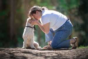 Dog photo shoot Oxford
Professional dog photographer Oxfordshire.
Dog photographer near me
Reactive dog photographer
Dog photo shoot price