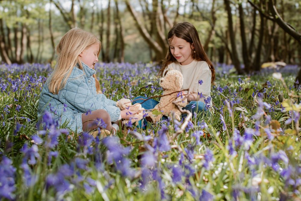 Two young girls sitting in a bluebell woodland, playing with teddy bears among purple wildflowers.