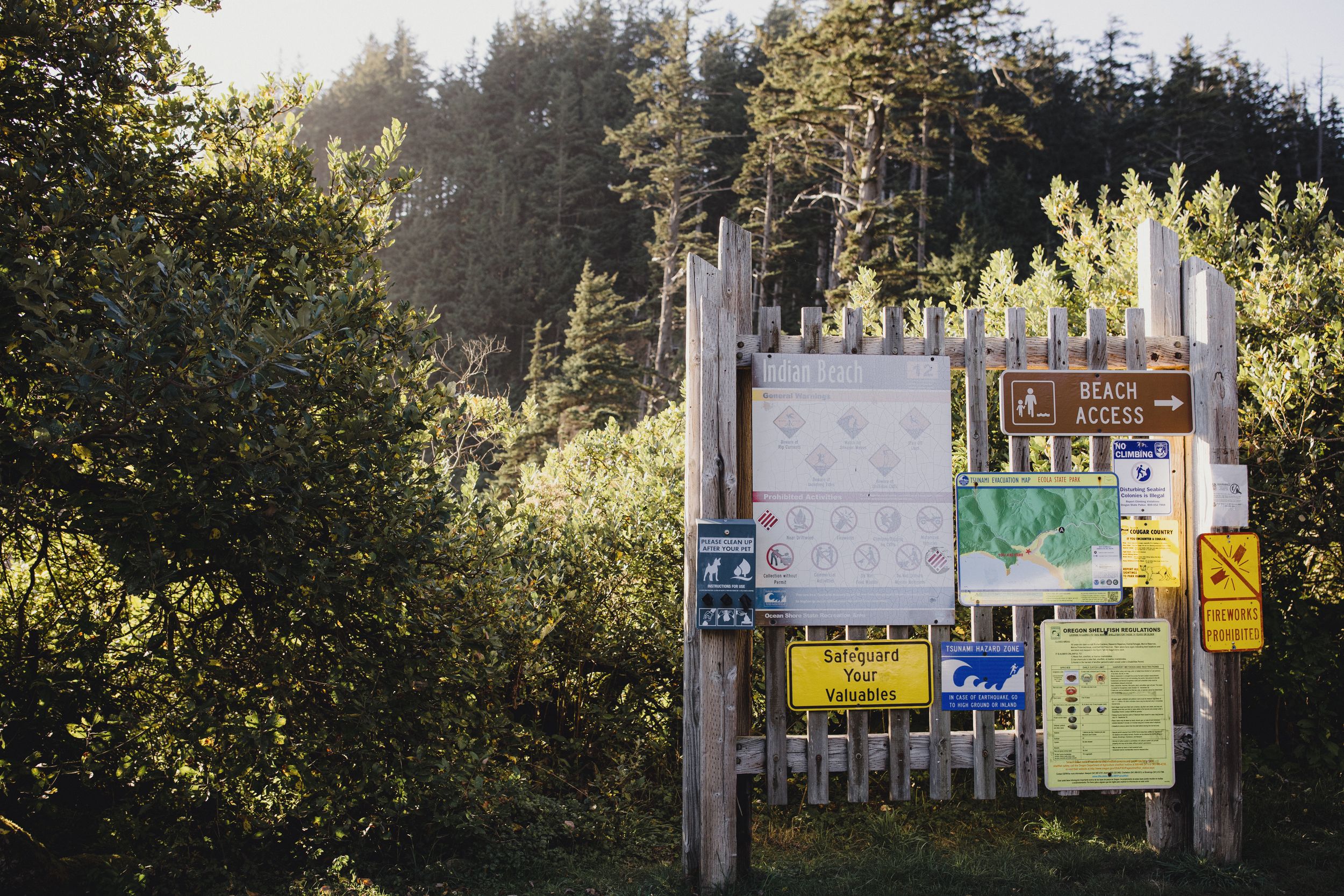 Wooden trailhead sign board with multiple park notices and a beach route marker surrounded by lush green trees.