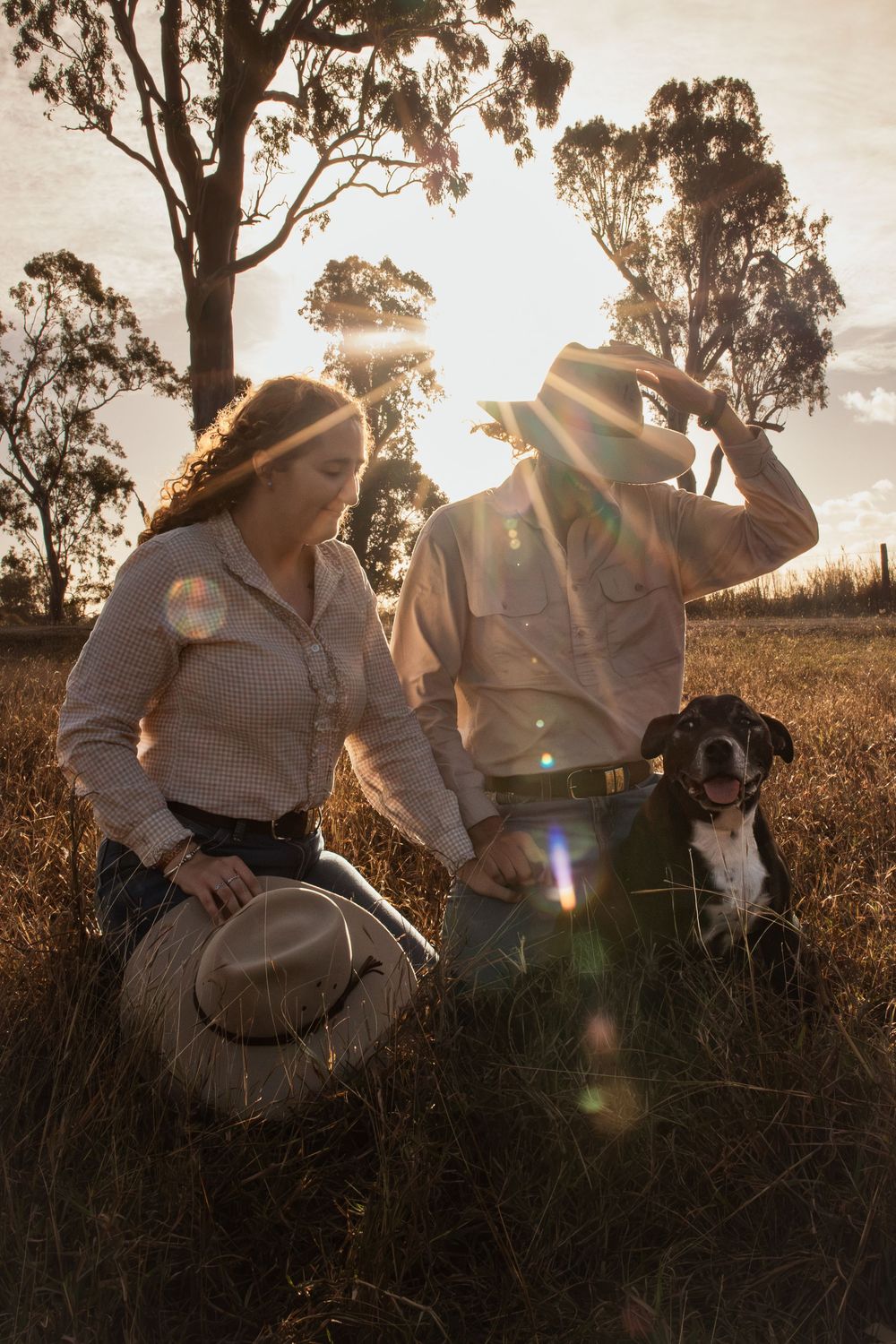 Couple in country shirts kneel in golden field at sunset with dog, lens flare, tall eucalyptus trees behind.