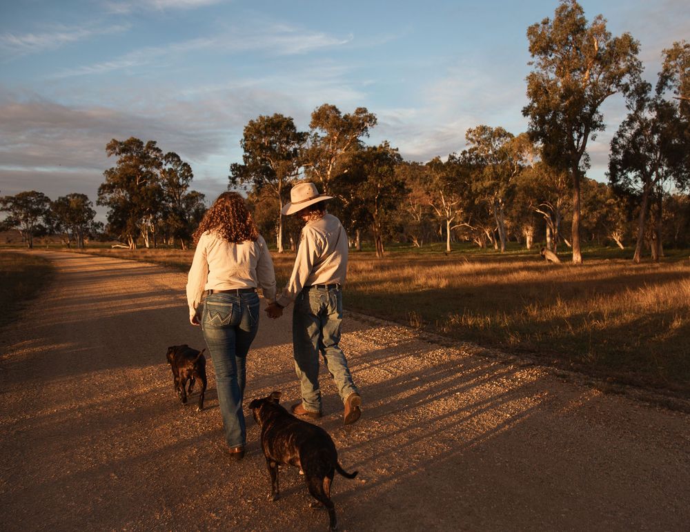Couple walking dogs down a rural road at golden hour, surrounded by trees and open fields.