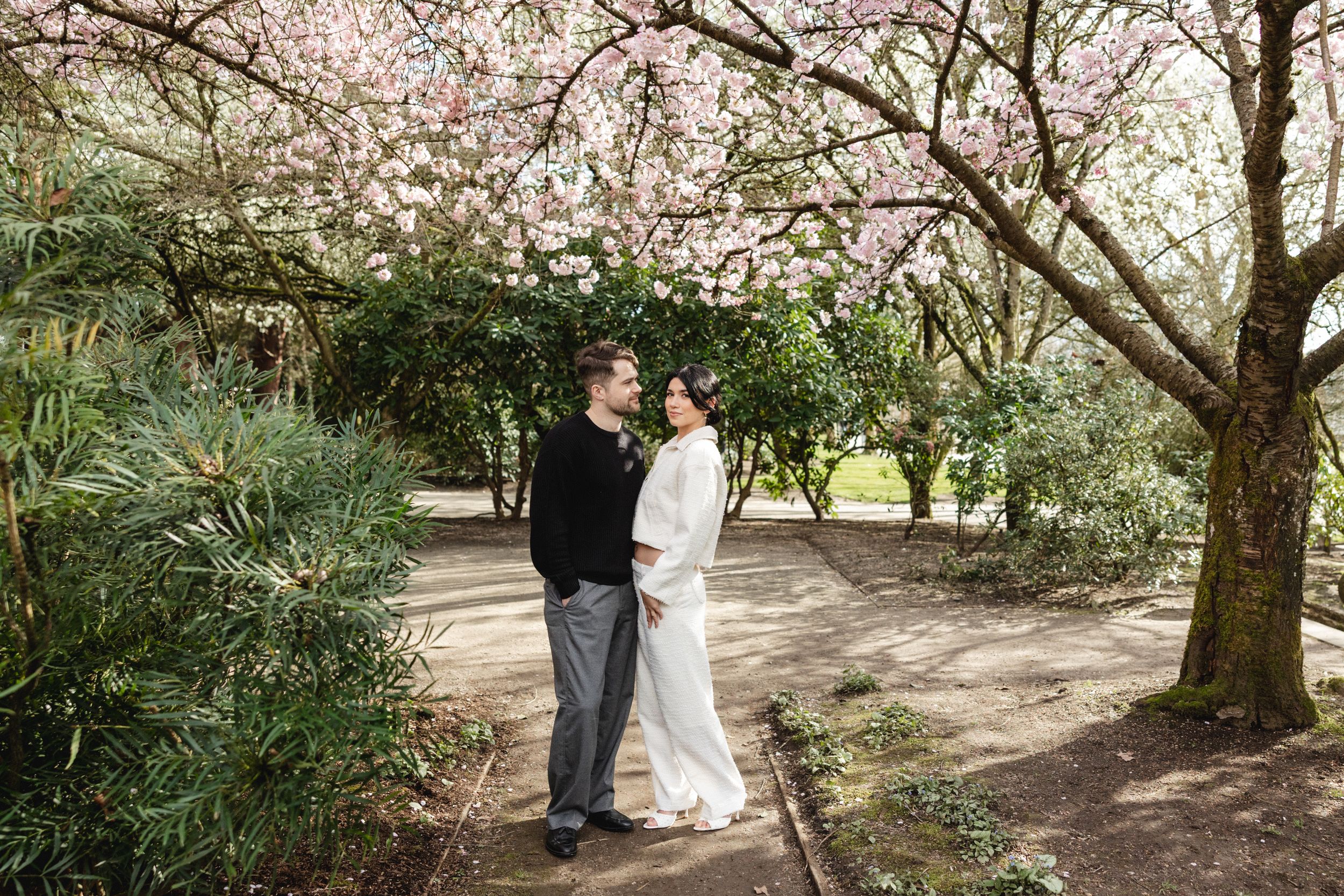 Couple embracing under blooming cherry blossom tree in garden path, bride in white gown, groom in black jacket.