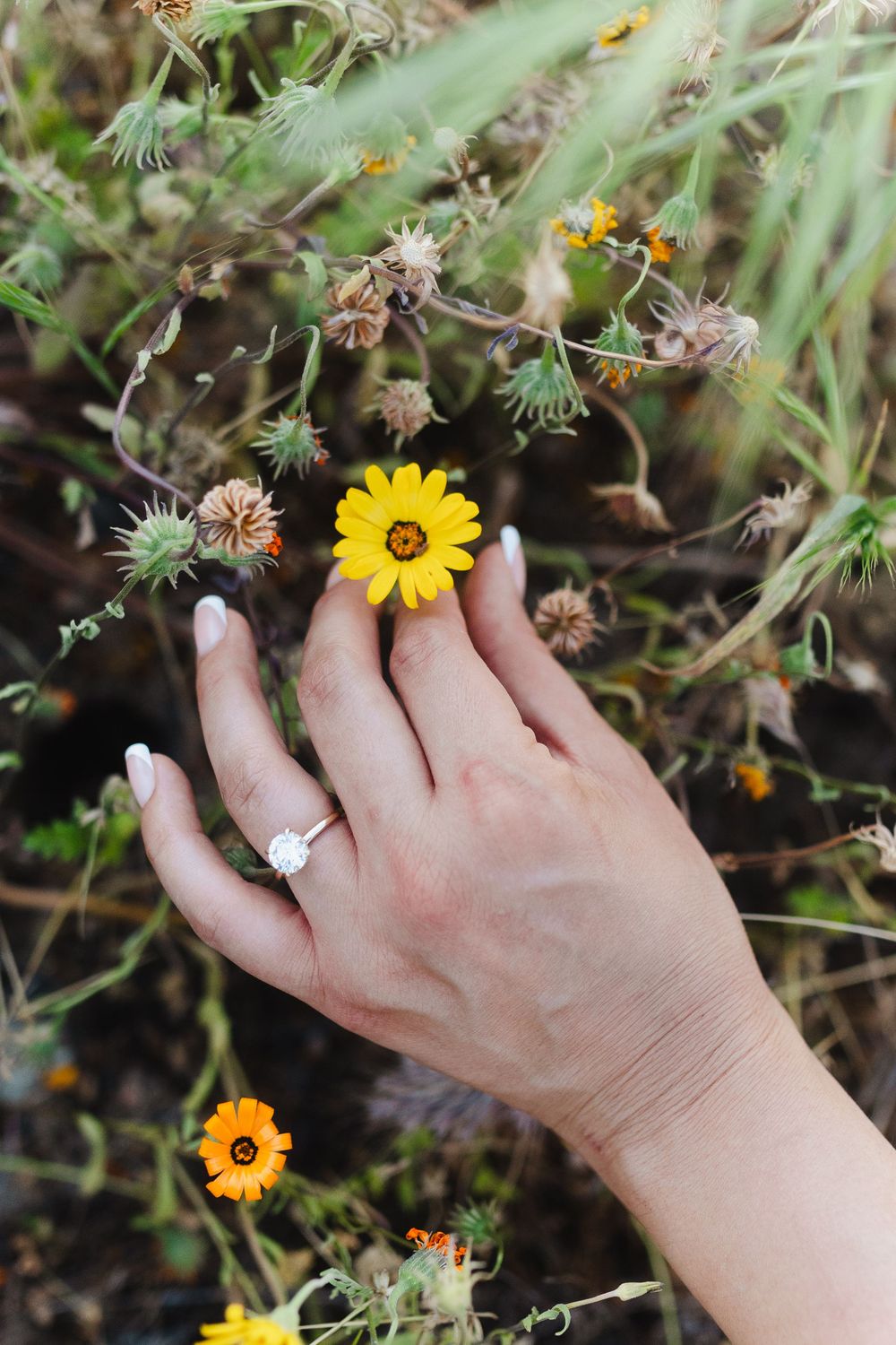 Woman's hand with a diamond engagement ring gently touching a yellow wildflower in a field.