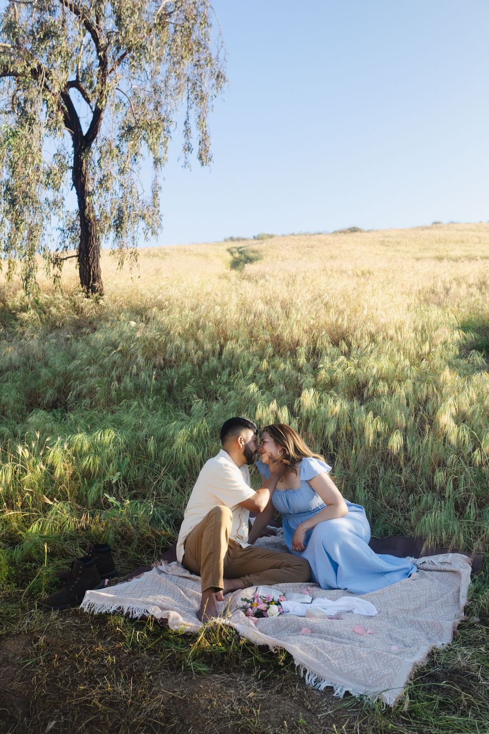 Couple sharing a kiss on a blanket in a sunny field with tall grass and a tree nearby.