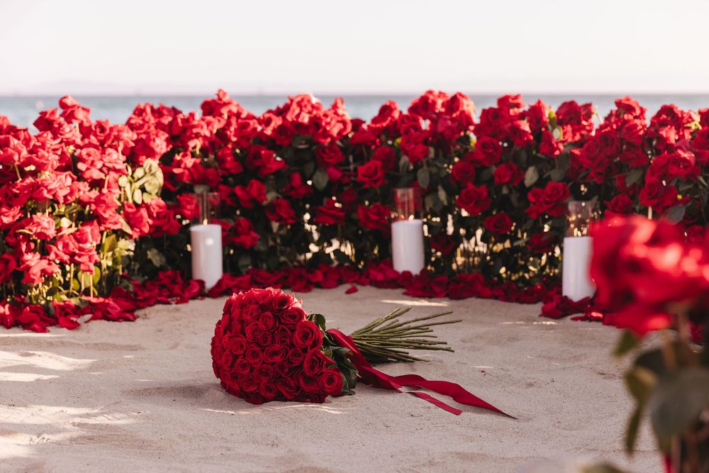 A romantic beach proposal setup with hundreds of red roses, white candles, and a bouquet on sand overlooking the ocean.