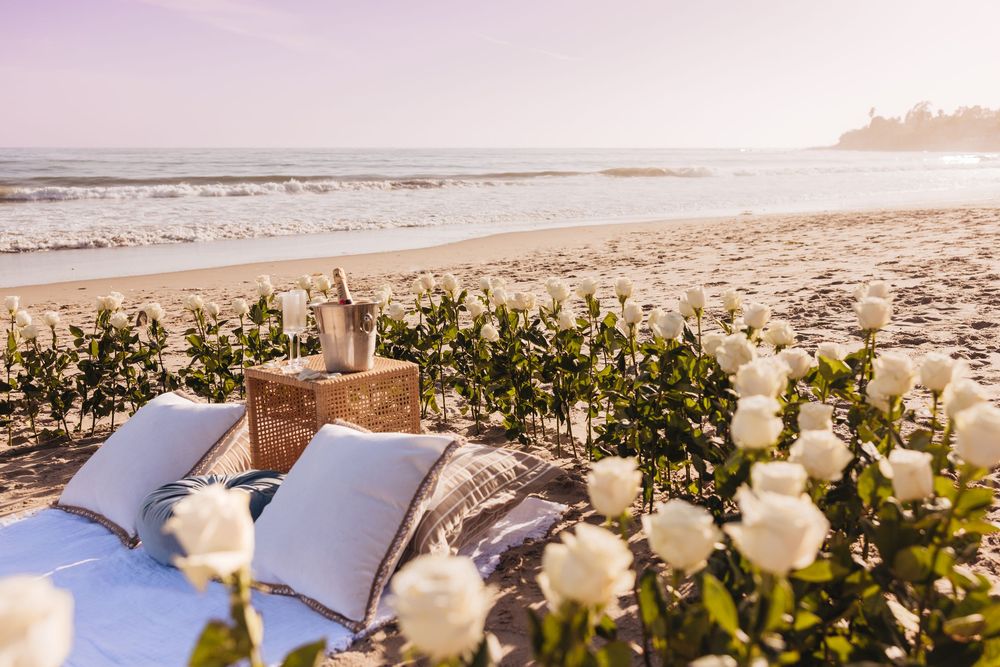 Romantic beach picnic setup with white roses, open book, wicker basket on sandy shore with ocean waves at sunset.