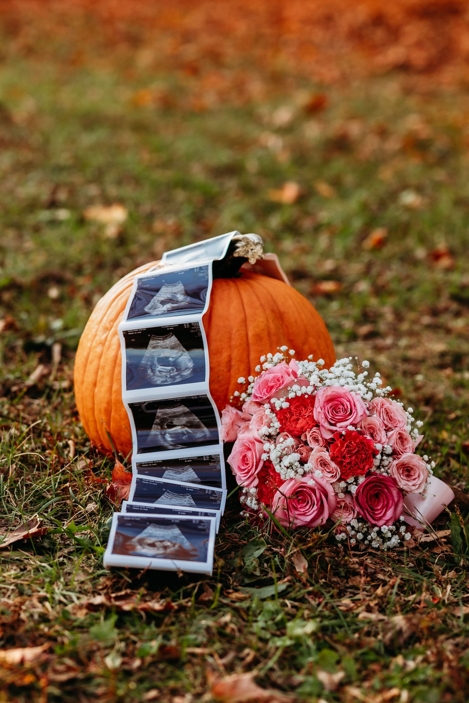 Ultrasound photos and pink rose bouquet leaning against orange pumpkin on autumn grass.